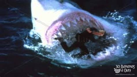 Megalodon Real Attack
