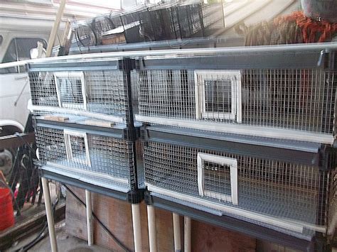 A wide variety of hay racks options are available to you hay racks. DIY quail pen plan using pre-made shelving system ⋆ SS Prepper