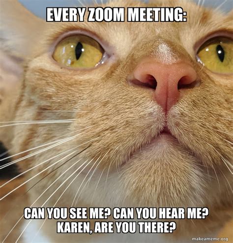 Zoom Meeting Meme Funny