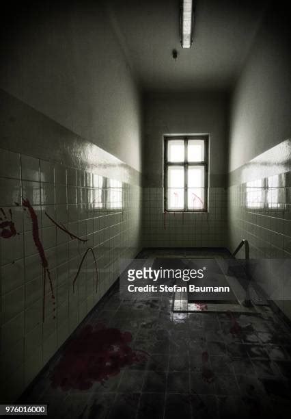 Blood Ceiling Photos And Premium High Res Pictures Getty Images