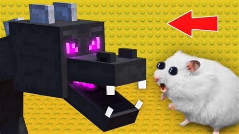 🐉 Minecraft Dragon Hamster Maze With Traps ☠️ Obstacle Course Youtube