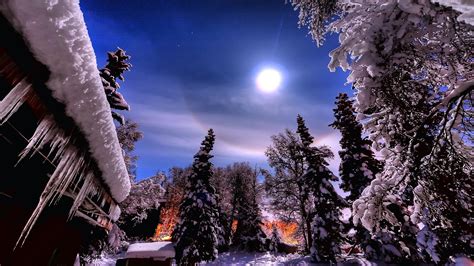 Full Moon Over Winter Forest Hd Wallpaper Background Image