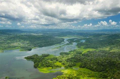 5 Hutan Mangrove Terluas Di Dunia Termasuk Indonesia