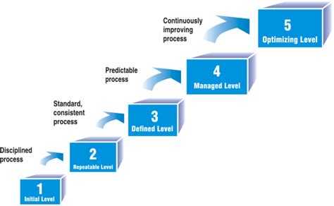 How To Achieve Level 5 Maturity For Qa And Testing Process