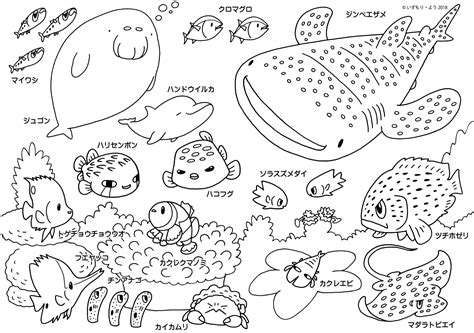 More images for ぬりえ かわいい 無料 » 【ほとんどのダウンロード】 塗り絵 かわいい 魚 ぬりえ - 無料 ...