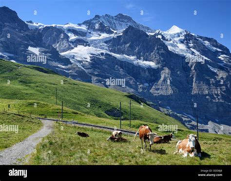 Kleine Scheidegg Mountain Pass Between Eiger And Lauberhorn Peaks In