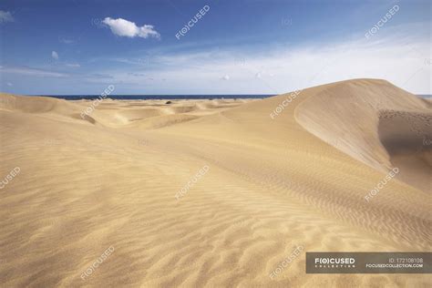 Golden Sand Dunes In Maspalomas Gran Canaria Canary Islands Spain