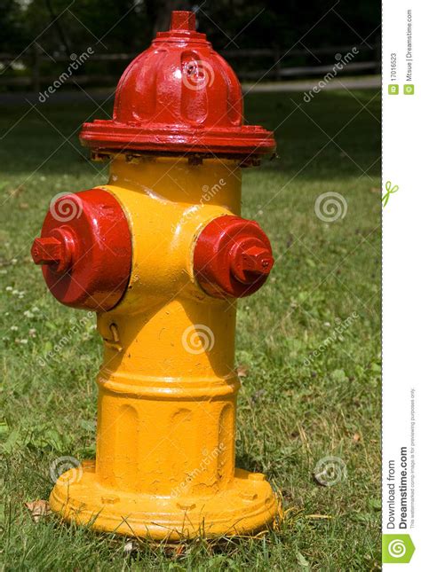 A yellow fire hydrant is a private system hydrant connected to the public main system. Fire Hydrant stock image. Image of outdoors, bright, grass ...