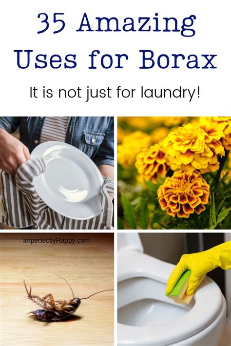 35 Amazing Uses for Borax - the Imperfectly Happy home | Borax uses, Organic gardening tips ...