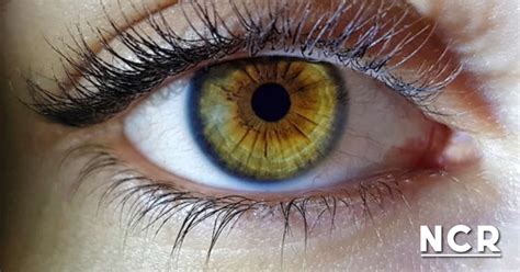 ¿cuáles Son Los Colores De Ojos Más Raros Del Mundo Ncr Noticias