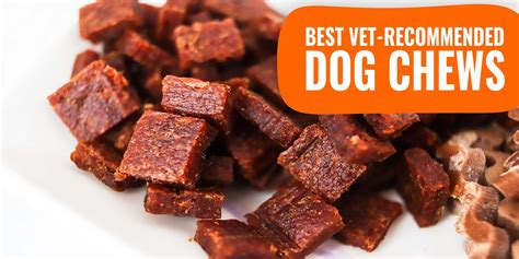 10 Best Vet Recommended Dog Chews Texture Flavor Reviews And Faq