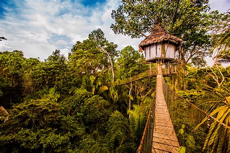 Treehouse Lodge Amazon Jungle Iquitos 3 6 Days Peru