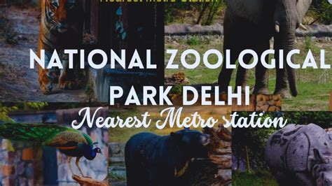 National Zoological Park Ticket Booking At Delhi Ticketsearch