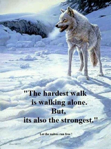 760 Best Wolf Sayings And Wolf Wisdom En Wolves Quotes Images On