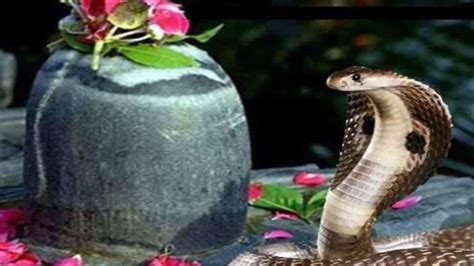 Nag Panchami Know Date Puja Timings And Significance
