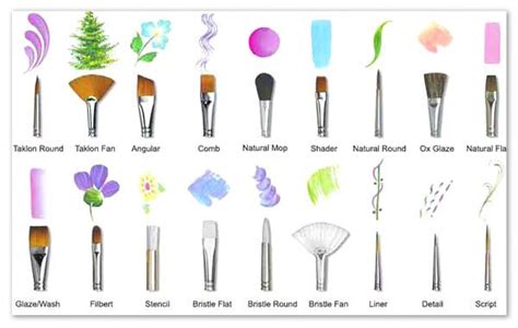The Paintbox Guide To Selecting Brushes The Paintbox