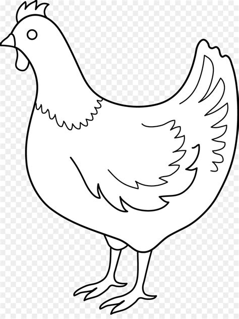 Ayam Gambar Hitam Dan Putih Gambar Png