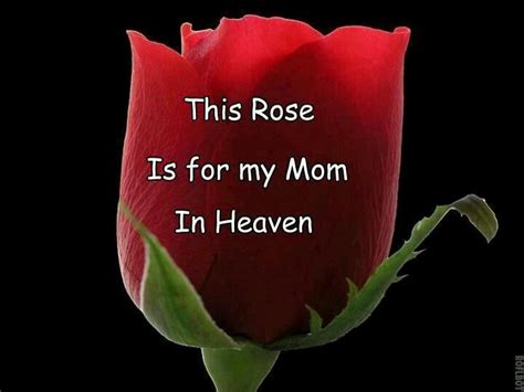 This Rose Is For My Mom In Heaven Birthday Belated Wishes Cakes