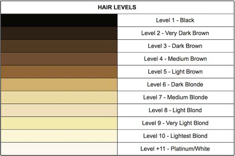 an introduction to hair levels and tones finding your perfect hair co ultimate looks