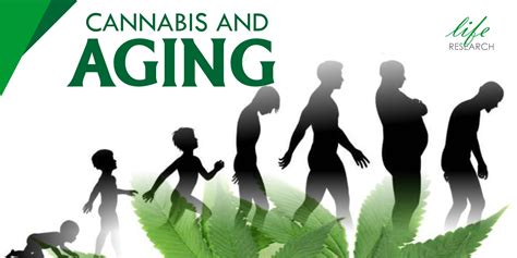 Cannabis And Aging Life Research
