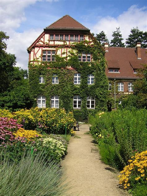 Wer sparen muss, kann auch selbst getränke mitbringen. Botanischer Garten Berlin | Botanischer garten berlin ...