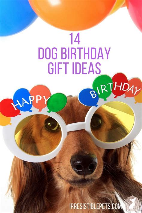 Well, you don't have to give them socks this year! What do you buy a dog for their birthday? Here are 14 dog ...