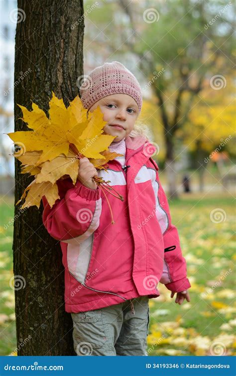 Girl With Autumn Leaves Stock Photo Image Of Green Orange 34193346
