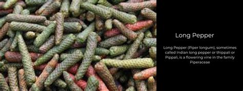 Long Pepper Health Benefits Uses And Important Facts Potsandpans India
