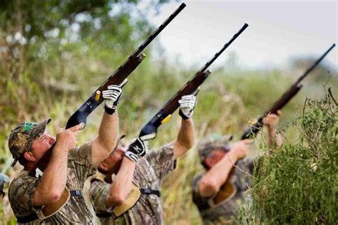 4 Day Argentina Dove Shoot For Fourteen Hunters Safari Club International