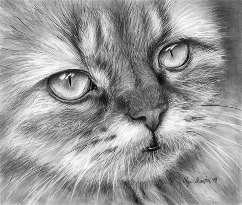 40 Beautiful And Realistic Animal Sketches For Your Inspiration