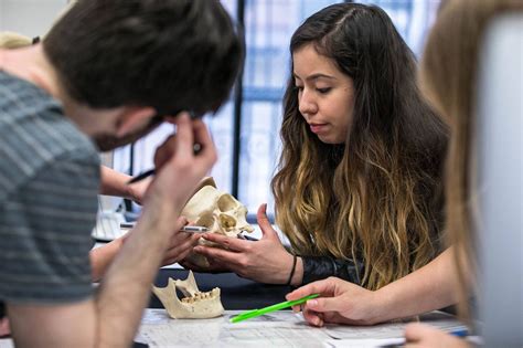 Cool Course Dispatch Introduction To Forensic Anthropology