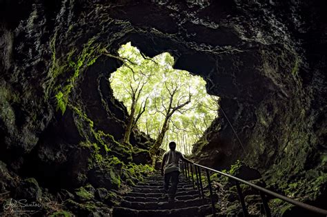 A Man Walking Up Some Stairs In The Middle Of A Tunnel With Trees