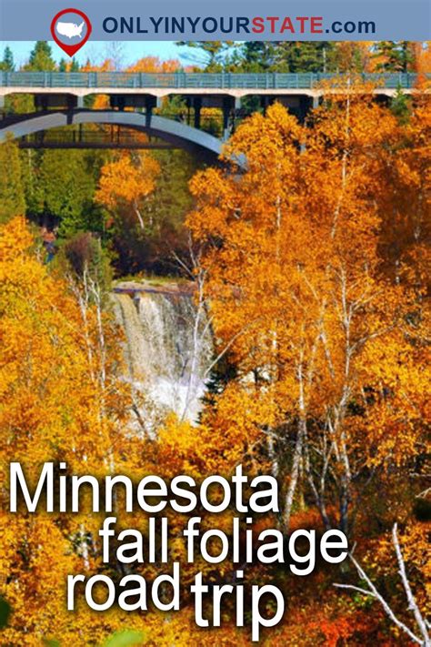 Take This Gorgeous Fall Foliage Road Trip To See Minnesota Like Never