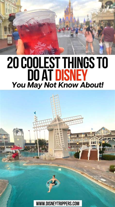 20 Coolest Things To Do At Disney You May Not Know About Disney World
