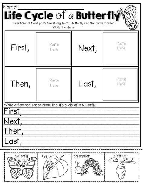 Science Worksheets For 1st Grade Free