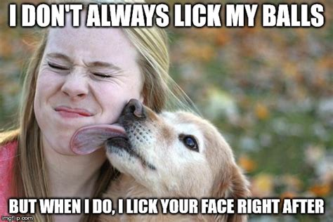 Licking Dog Imgflip