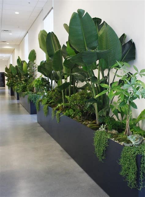 38 Interior Plant Design – Botanical Art – And Premium 