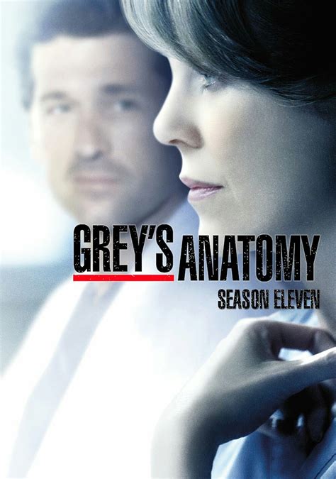 Grey S Anatomy Saison Greys Anatomy Season P Drama Hdtv