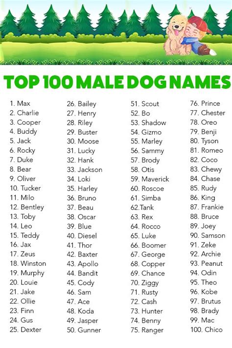 Top 100 Male Dog Names Dog Names Male Dog Names Dogs Names List
