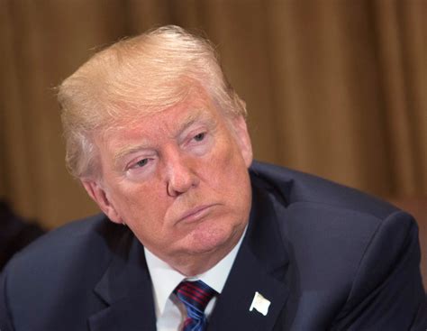 Автор внушительного ряда книг по бизнесу и саморазвитию. Дональд Трамп: фото, биография, досье