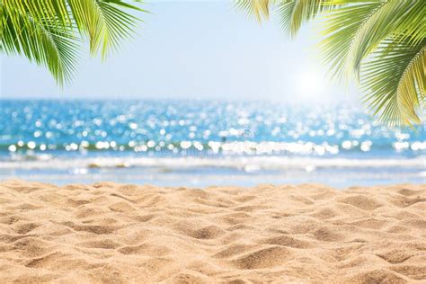 2151447 Beach Background Stock Photos Free And Royalty Free Stock