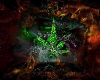 Weed Marijuana Desktop Wallpapers Backgrounds Cannabis Trippy