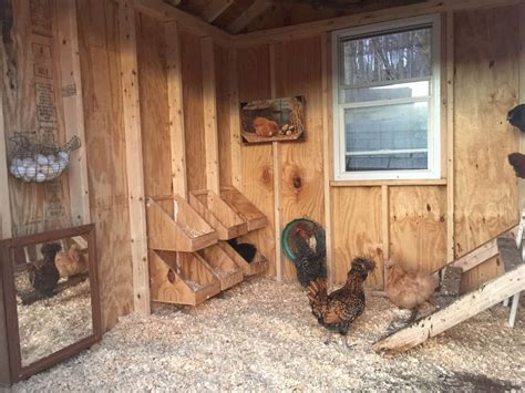 10 Free 8x8 Chicken Coop Plans You Can DIY This Weekend 2022