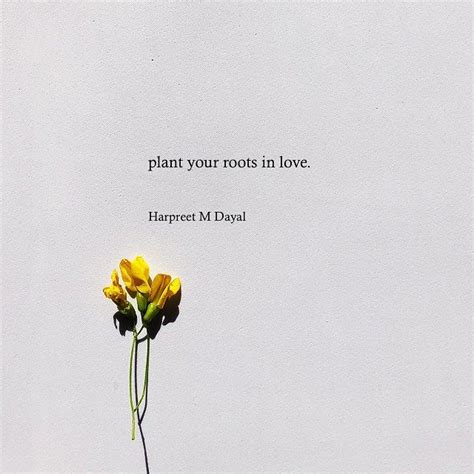 Hmdayal On Instagram “in Love 🌼” Flower Quotes Inspirational Floral Quotes Literary Quotes