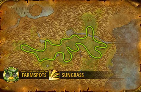 Wow Farming Sungrass World Of Warcraft Classic Farm Guide
