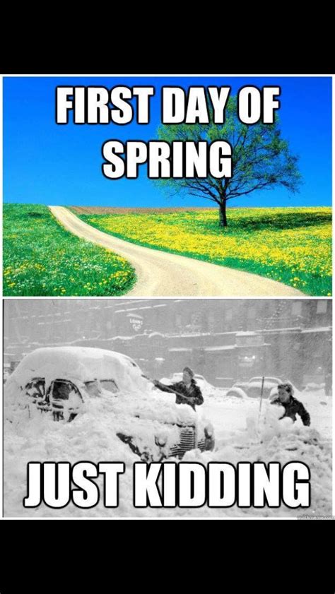 Pin By Cayman Forbes On Funny Weather Memes Spring Memes Funny