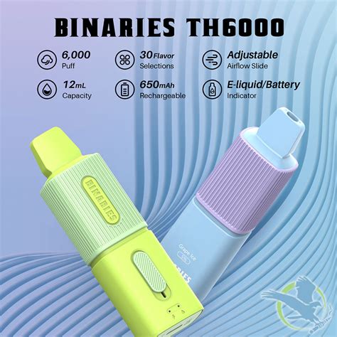Binaries Th6000 12ml 6000 Puffs Vape Disposable Device E Cigs
