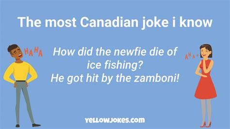 Hilarious Newfie Jokes That Will Make You Laugh