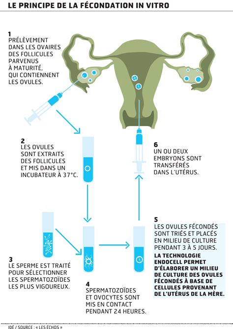 Fécondation In Vitro Culture Sur Mesure Pour Les Embryons