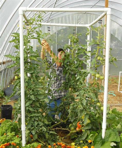 Make a simple, durable, and low cost trellis for the home garden, that's great for peas, beans, or any other climbing plant. Pin on Trellis